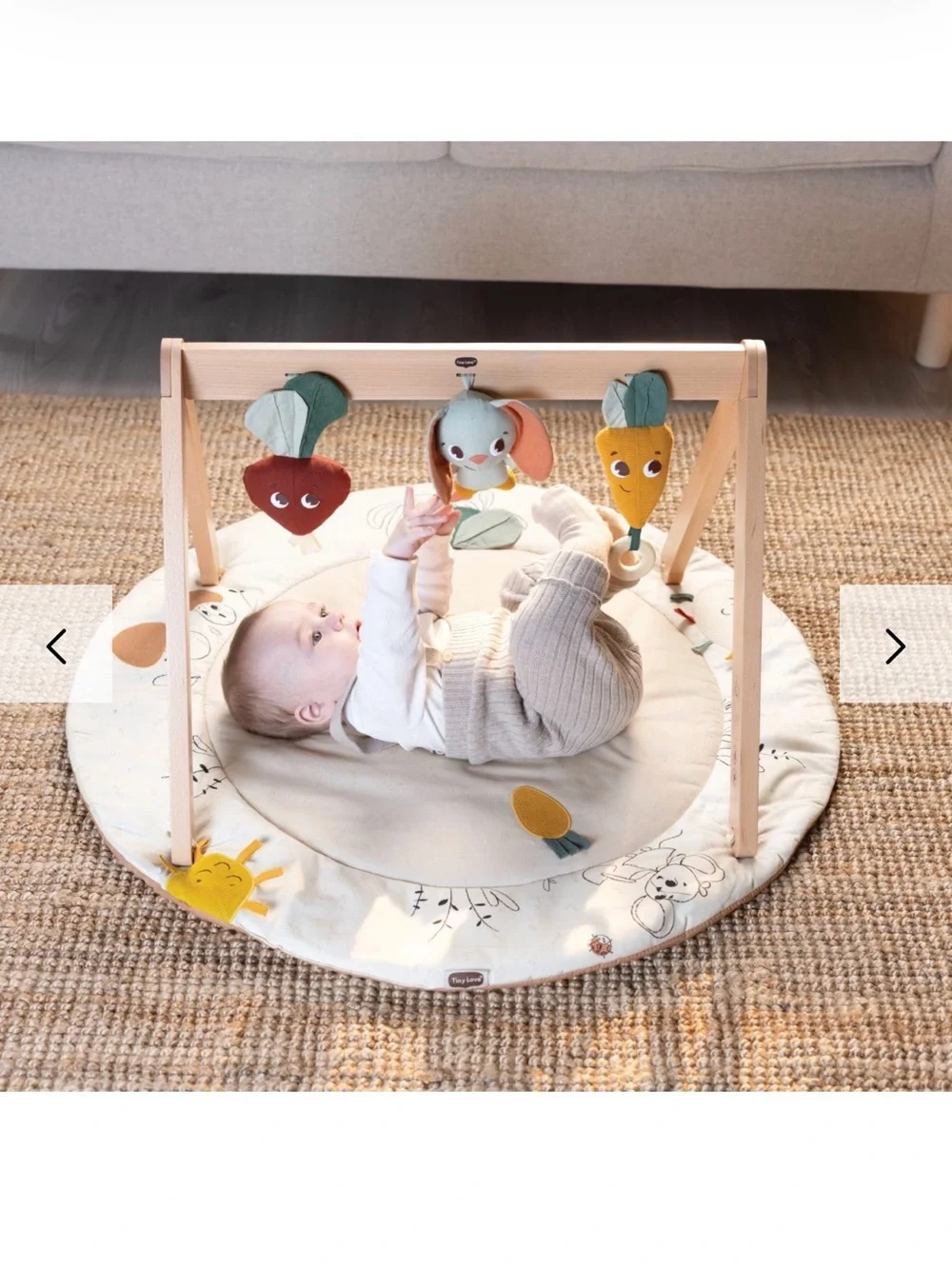 Tiny Love Gardens of Adventure, Luxe Developmental Gymini